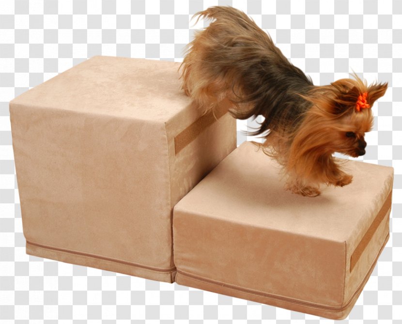 Dog Breed Cat Pet Crate Transparent PNG
