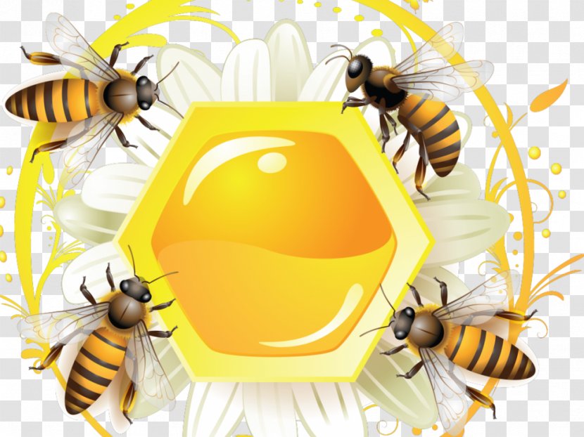 Honey Bee Label - Pollinator Transparent PNG