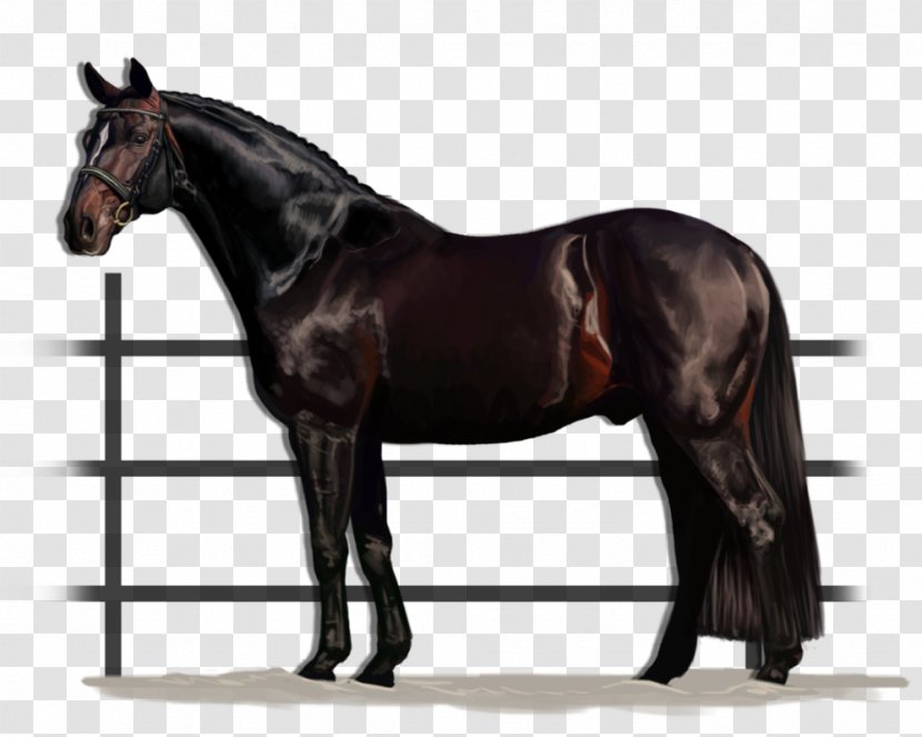 American Quarter Horse Paint Stallion Doc Bar Cutting - Halter - Fat Man Transparent PNG