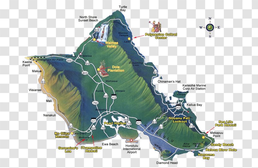 Oahu Map Tuberculosis Transparent PNG
