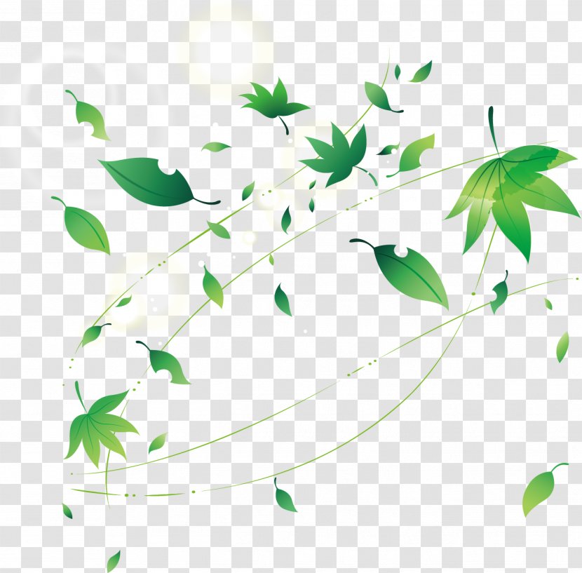 Leaf Adobe Illustrator - Autumn Transparent PNG