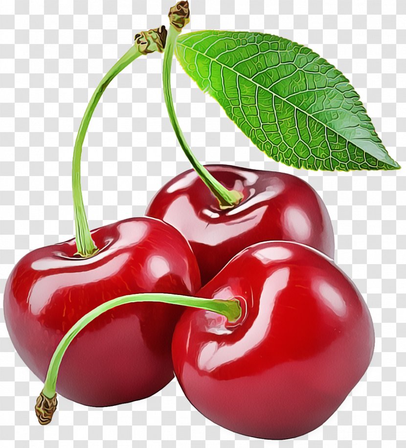 Cherry Fruit Plant Natural Foods Food - Woody Flowering Transparent PNG