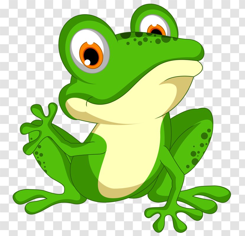 Frog Clip Art - Stock Photography - Green Transparent PNG