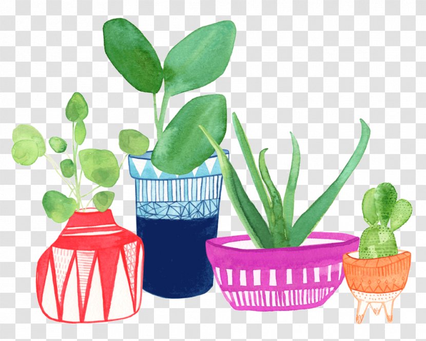 Succulent Plant Watercolor Painting Illustration Clip Art Drawing - Stem - Cactus Transparent PNG