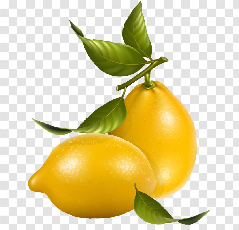 Lemon Royalty-free Clip Art - Citric Acid Transparent PNG