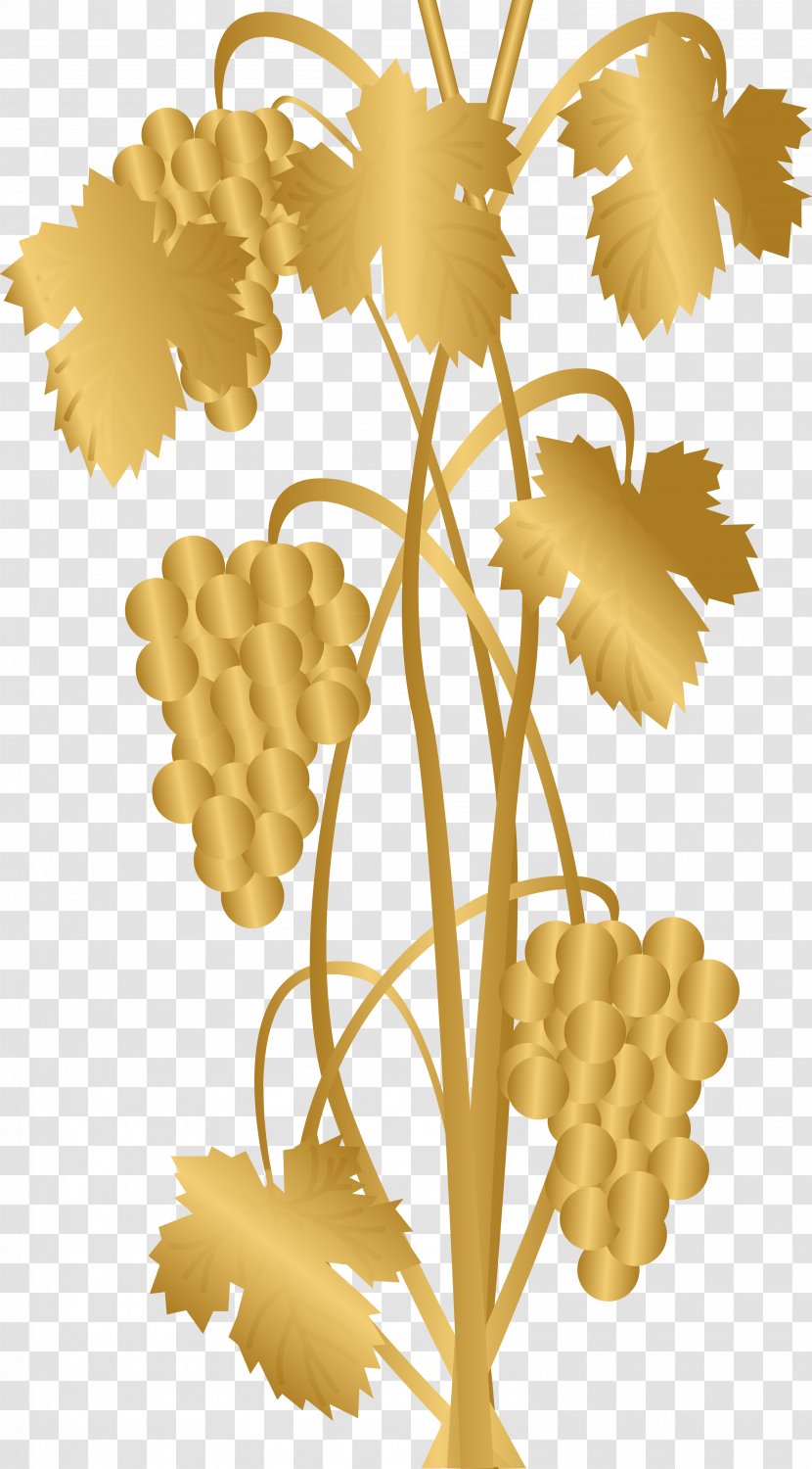 Flower Grape Tree Floral Design Branch - Fruit - Elements Transparent PNG