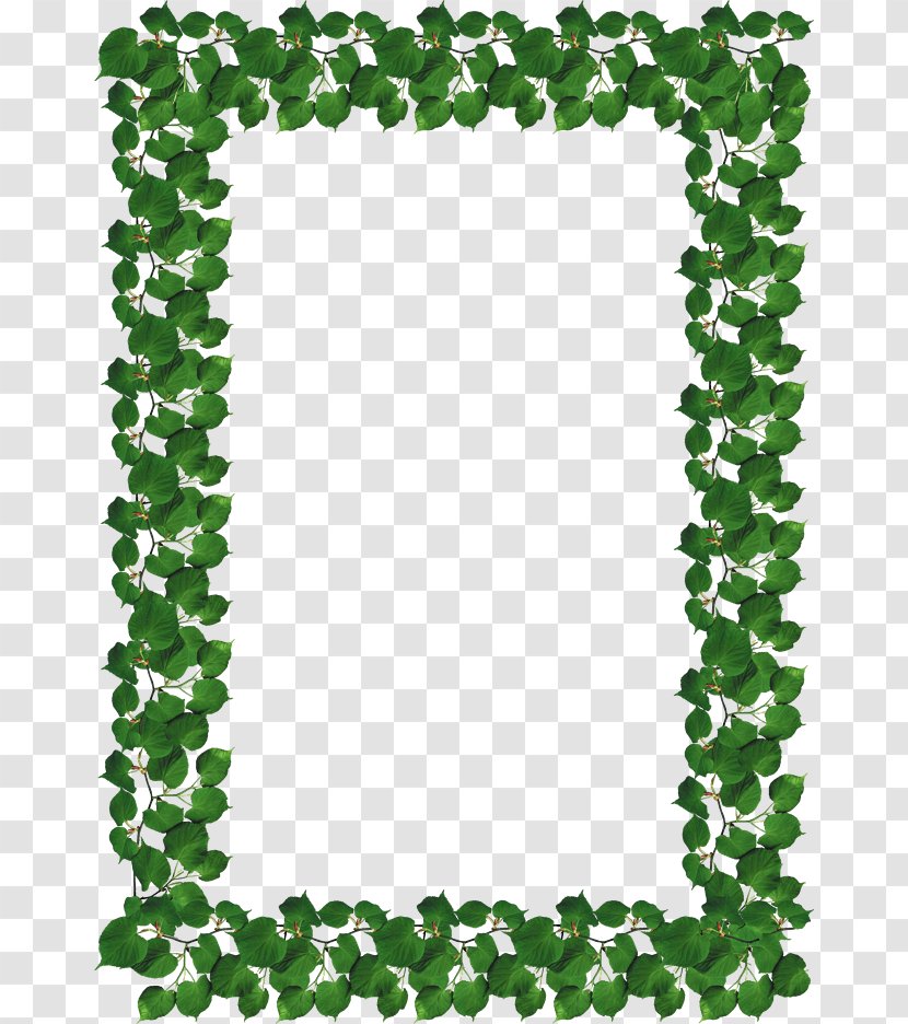 Leaf - Rectangle - Green Leaves Border Transparent PNG