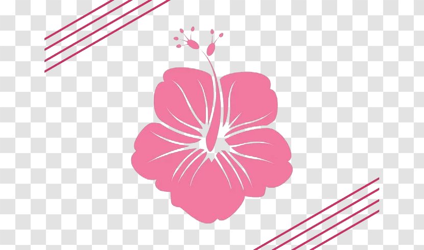 Hawaii Flower Silhouette Clip Art - Malvales - Artistic Spring Pink Lilac Flowers Transparent PNG