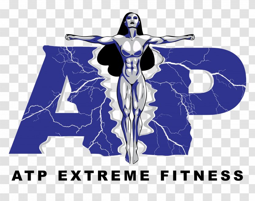 Physical Fitness Strength Personal Trainer Exercise Centre - Cartoon - Logo Transparent PNG