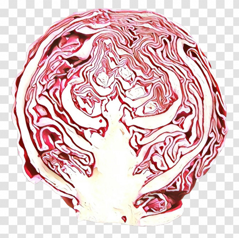 Head Cabbage Food Vegetable Transparent PNG