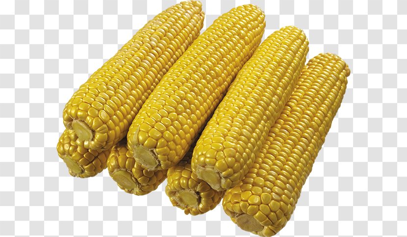 Corn On The Cob Maize IFolder DepositFiles - Sweet Transparent PNG