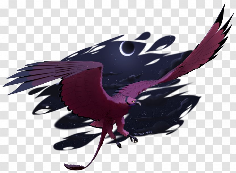 Beak Bird Of Prey Feather Transparent PNG