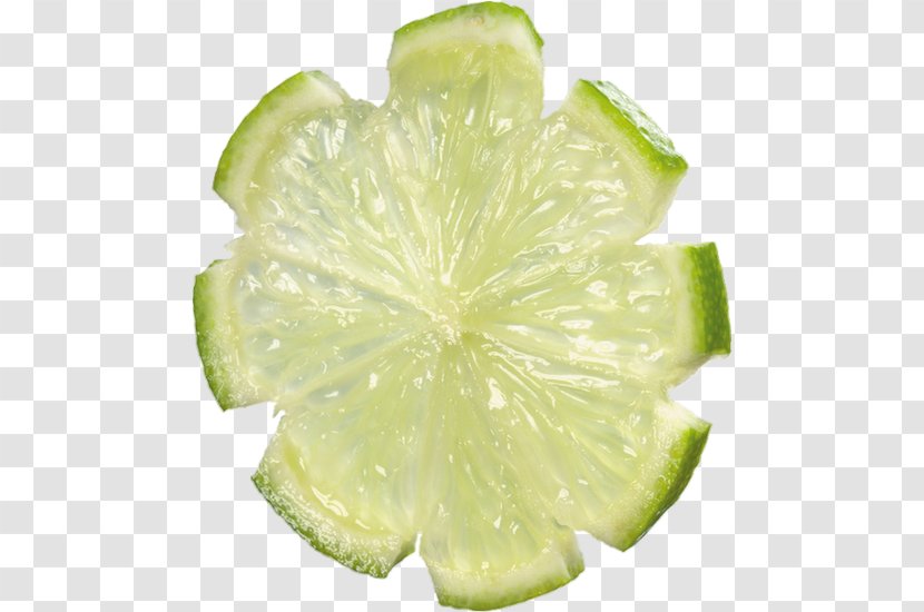 Key Lime Lemon-lime Drink Persian - Fruit Transparent PNG