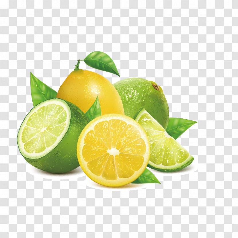 Lemon Key Lime - Rangpur - Vector And Yellow Transparent PNG