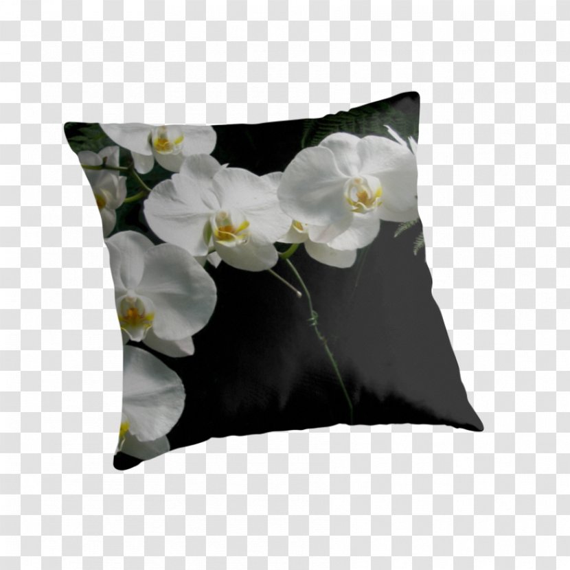 Throw Pillows Cushion Orchids Petal - Moth Transparent PNG