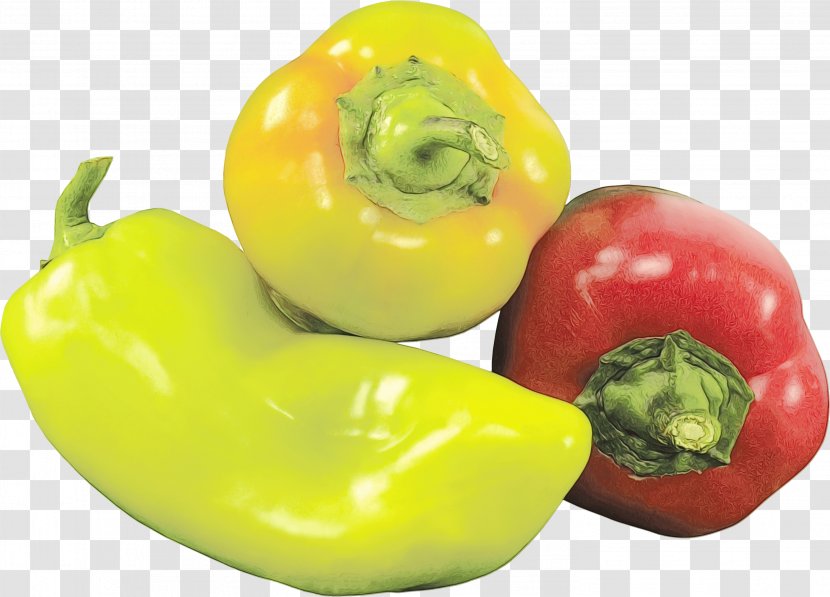 Vegetable Cartoon - Ingredient - Fruit Vegetarian Food Transparent PNG