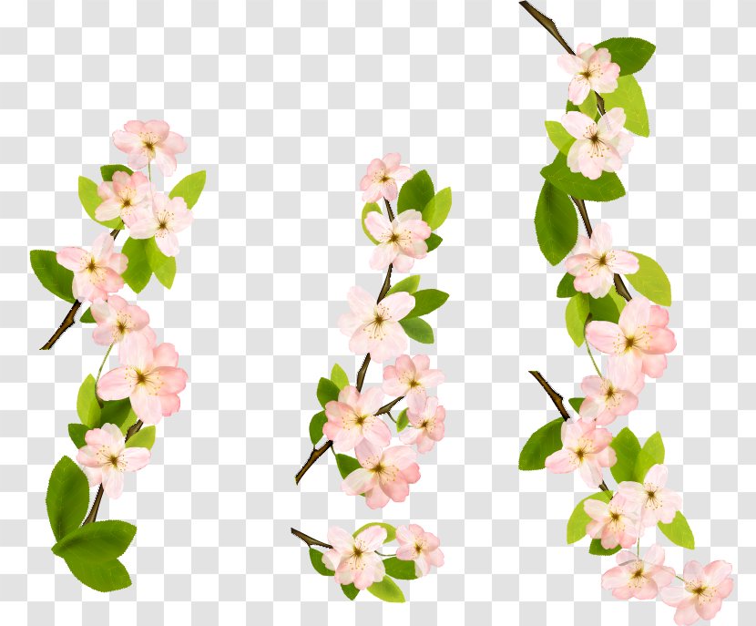Cut Flowers Plant Stem Twig - Pink Transparent PNG