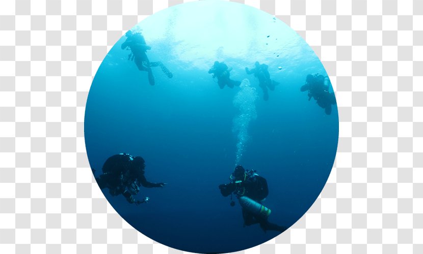 Scuba Diving Underwater Cycling Bicycle Professional Association Of Instructors - Water - Snorkeling Hawaii Transparent PNG