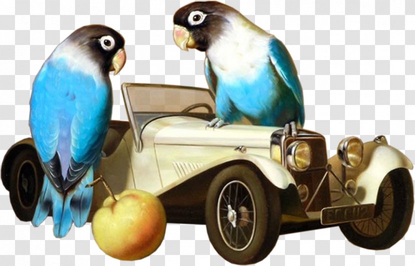 Lovebird Cockatiel Parakeet E-card - Animal - Bird Transparent PNG
