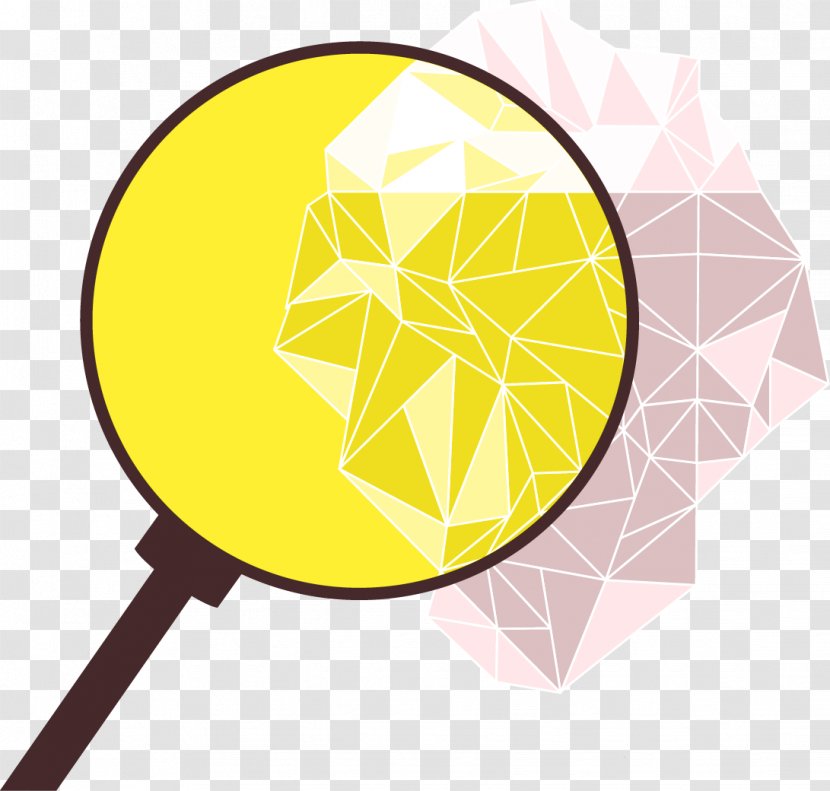 Magnifying Glass Euclidean Vector - Material - Decorative Patterns Transparent PNG