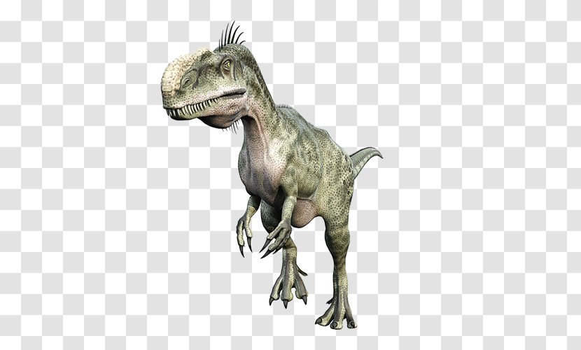 Tyrannosaurus Ceratosaurus Monolophosaurus Velociraptor Abelisaurus - Organism - Dinosaur Transparent PNG