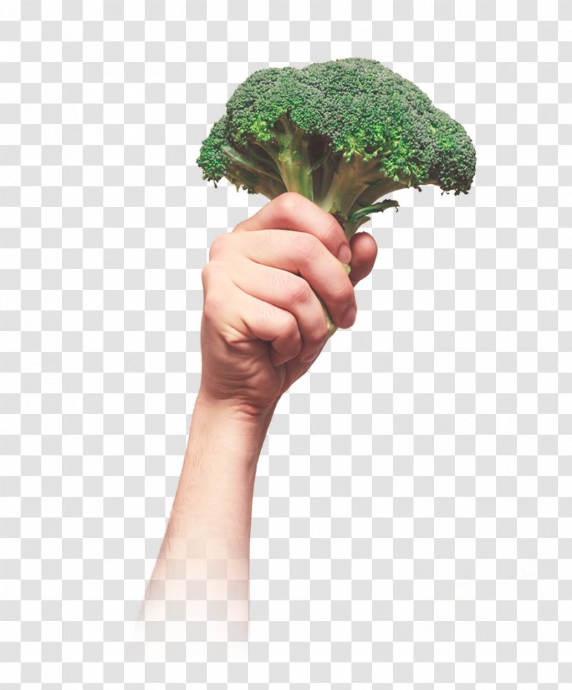Stock Photography Royalty-free - Royalty Payment - Brocoli Transparent PNG