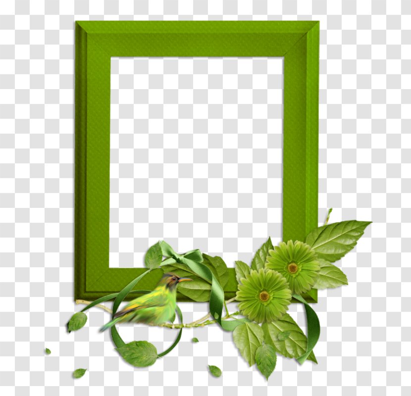 Picture Frame Clip Art - Flora - Green Transparent PNG