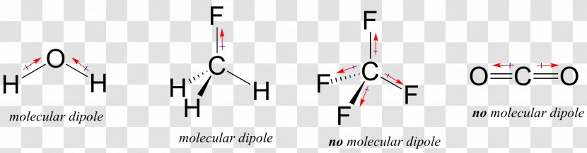 Bond Dipole Moment Covalent Hydrogen Chemical - Text - Polar Biology Transparent PNG