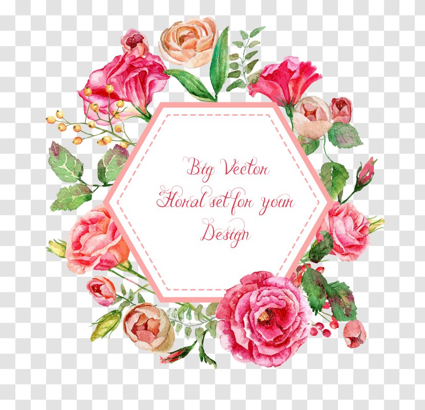 Watercolor: Flowers Watercolor Painting Illustration Vector Graphics - Garden Roses Transparent PNG