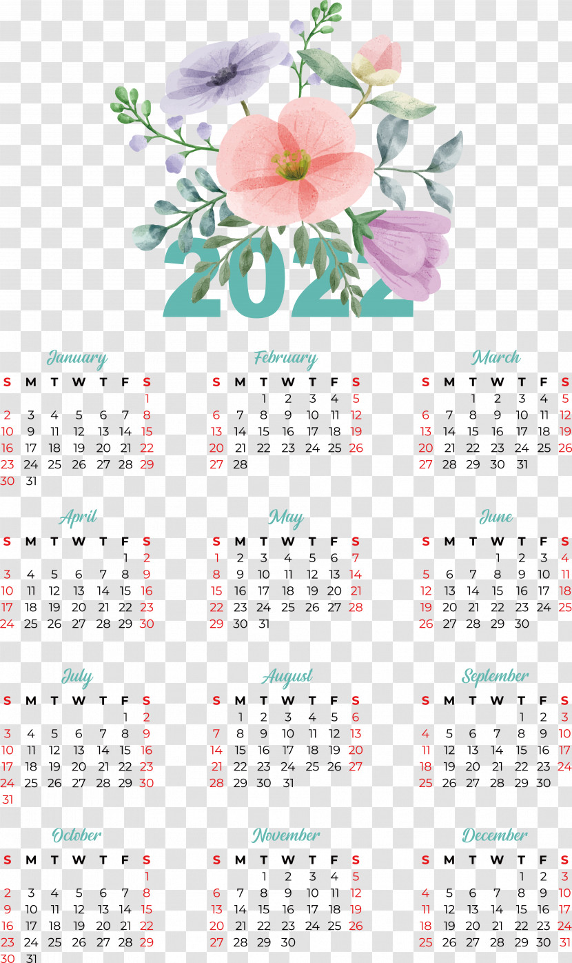 Calendar Flower Petal Meter Transparent PNG