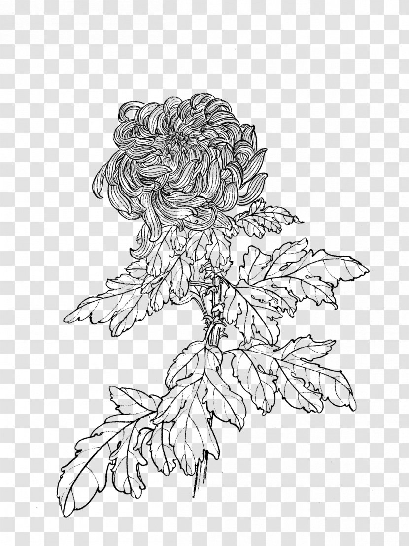 Flower Chrysanthemum Drawing Manual Of The Mustard Seed Garden Line Art - Shan Shui Transparent PNG