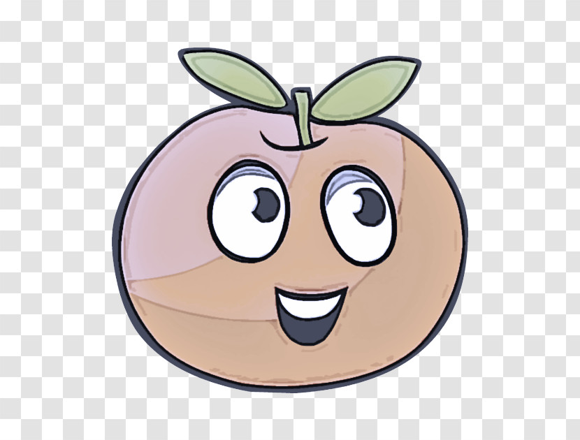 Cartoon Snout Plants Fruit Biology Transparent PNG