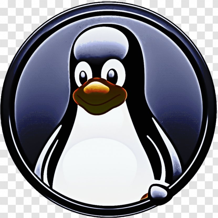 Penguin Cartoon - Flightless Bird - King Transparent PNG