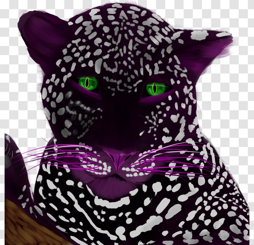 Big Cat Whiskers Snout Transparent PNG