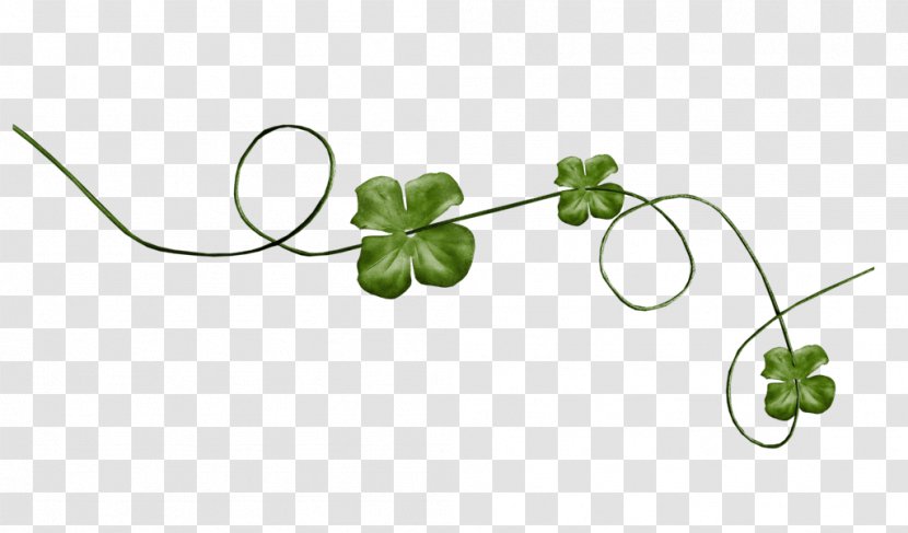 Centerblog Skyrock Four-leaf Clover - Ivy - Alfalfa Ribbon Transparent PNG