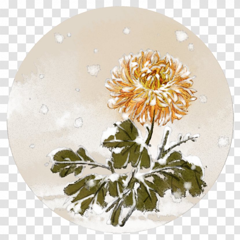 Dishware Plate Flower Yellow Plant - Petal Leaf Transparent PNG