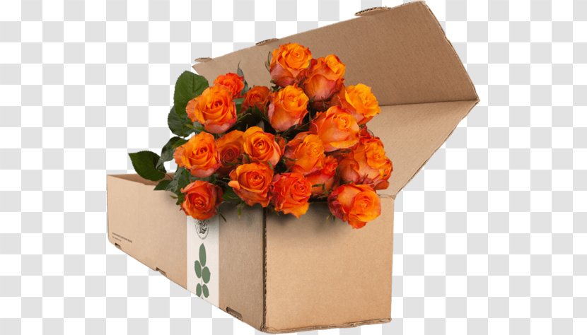 Garden Roses Flower Orange Blue Rose - Vase Transparent PNG