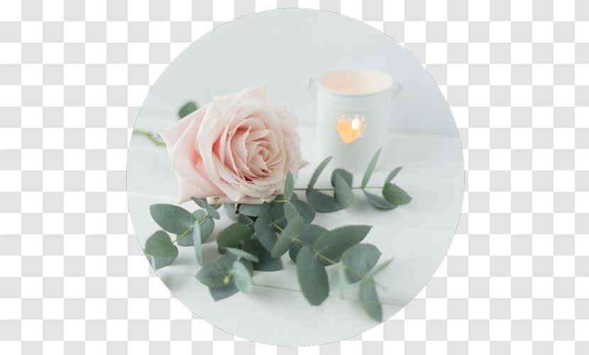 The Montrose Studios Garden Roses Flower Houston Press Floral Design - Texas - Circle Rose Transparent PNG