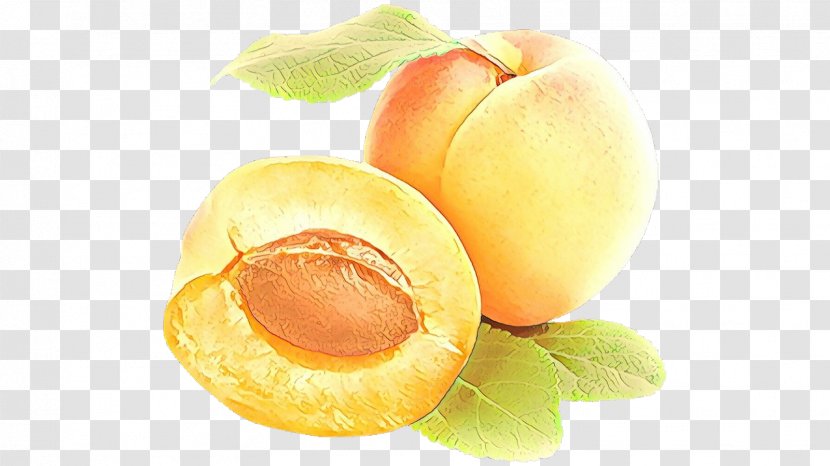 Watermelon Background - Battenberg Cake - Apricot Kernel Plant Transparent PNG