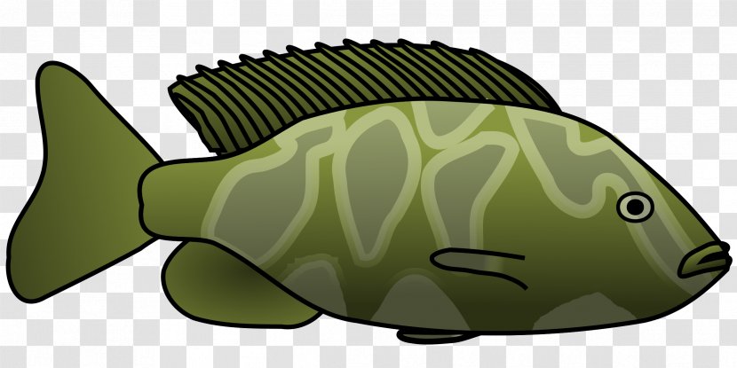 Fish YouTube Clip Art - Sturgeon - Tail Transparent PNG