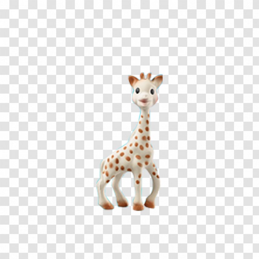 Northern Giraffe Sophie The Neck Infant Vulli S.A.S. Transparent PNG