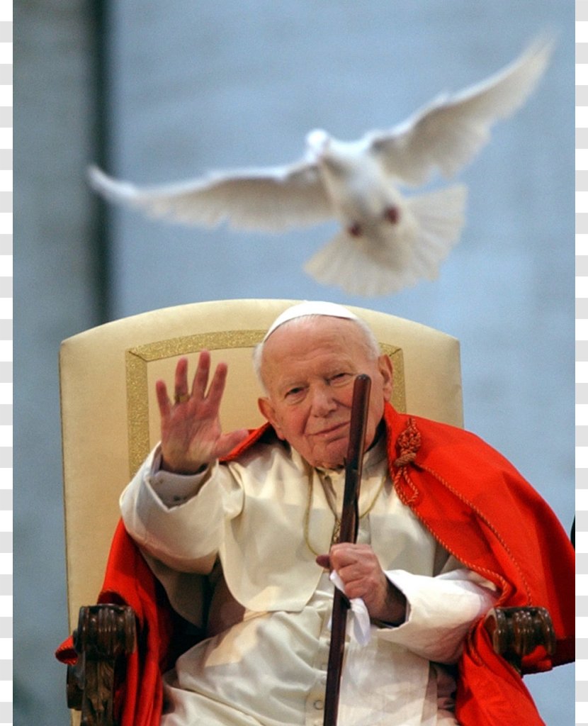 St. Peter's Square Pope John Paul II Saint Priest - Canonization - Francis Transparent PNG