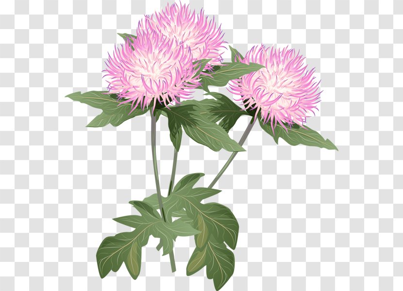 Flower Thistle Clip Art - Royaltyfree - Cliparts Transparent PNG