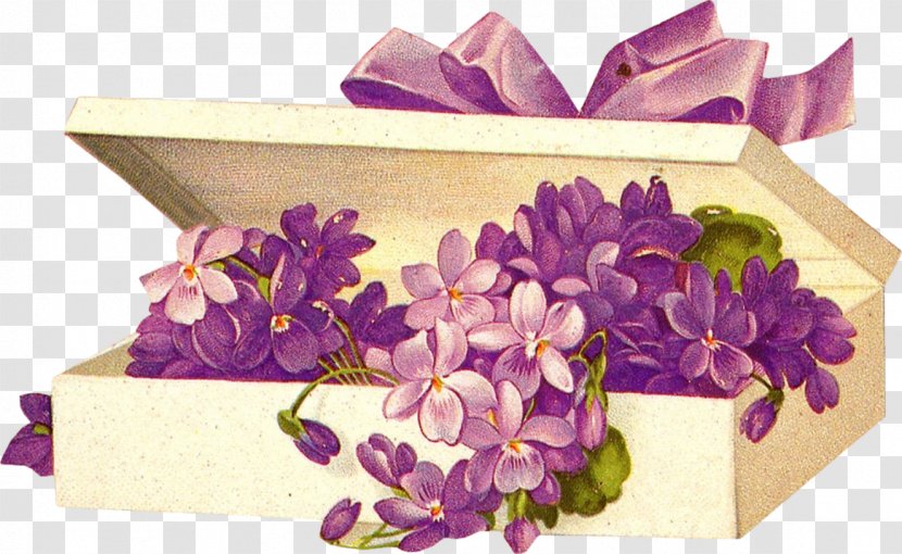 Post Cards Flower Paper France Clip Art - Gift Transparent PNG