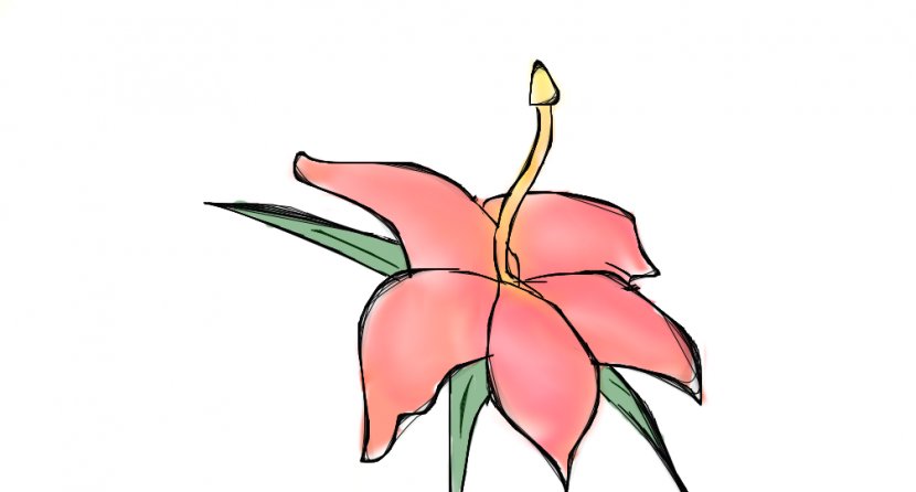 Flower Drawing Clip Art - Flora - Tropical Drawings Transparent PNG
