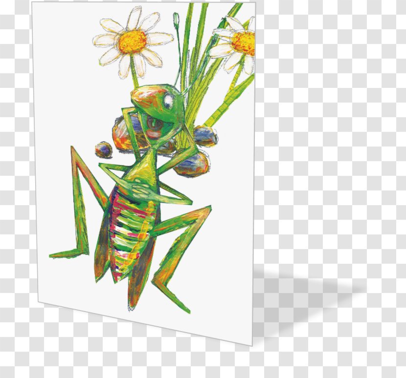 Insect Pollinator Pest Membrane - Grass Transparent PNG