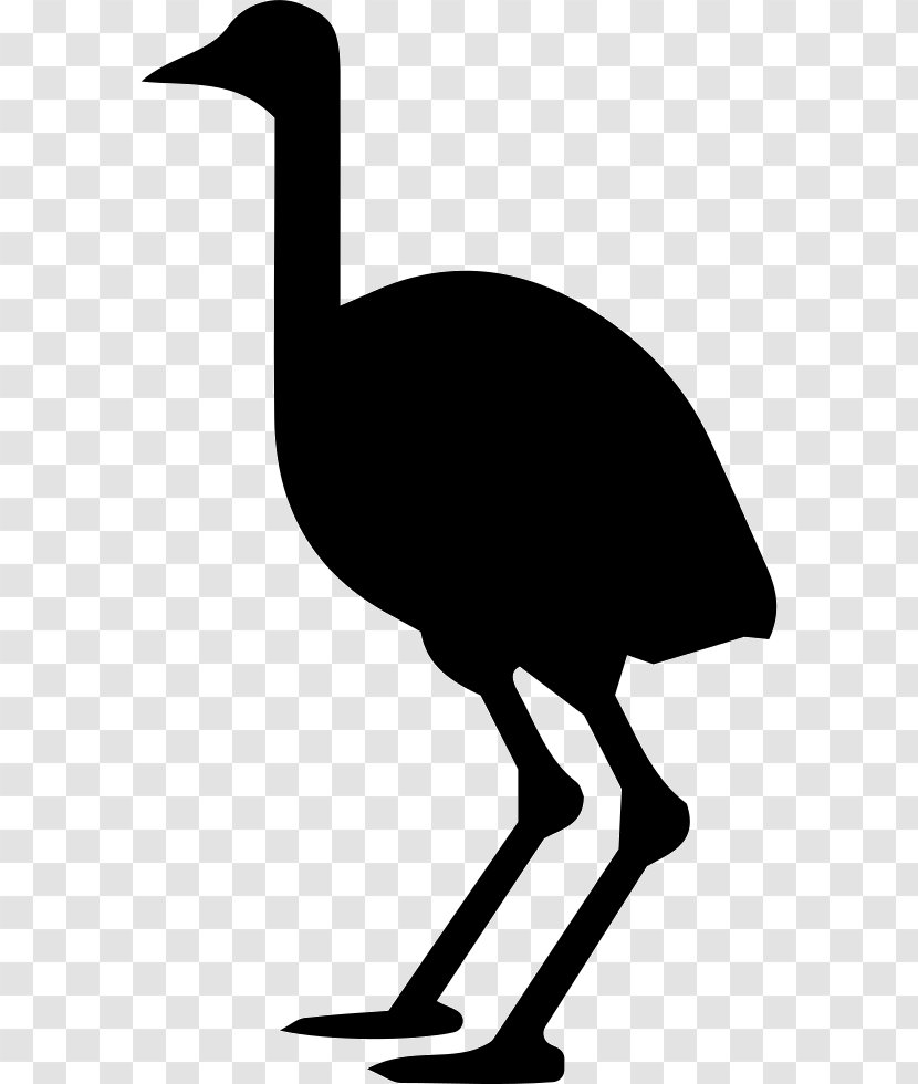 Clip Art Common Ostrich - Ratite - Bird Transparent PNG