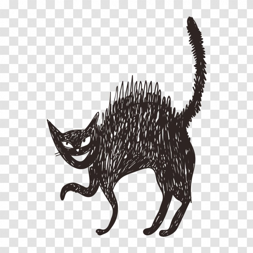Cat Food Black - Small To Medium Sized Cats - Cartoon Little Transparent PNG