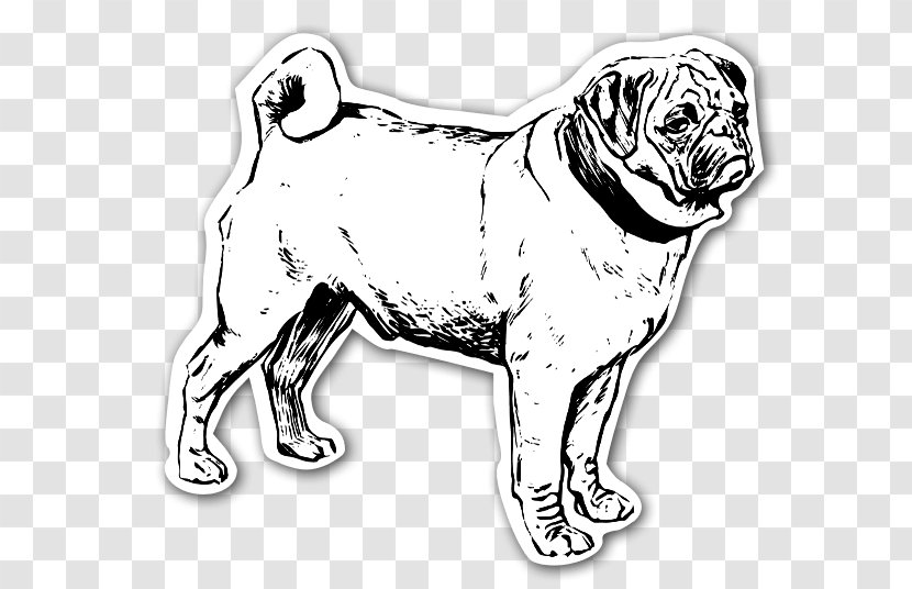Puggle Puppy Coloring Book Pet - Dog Breed Transparent PNG
