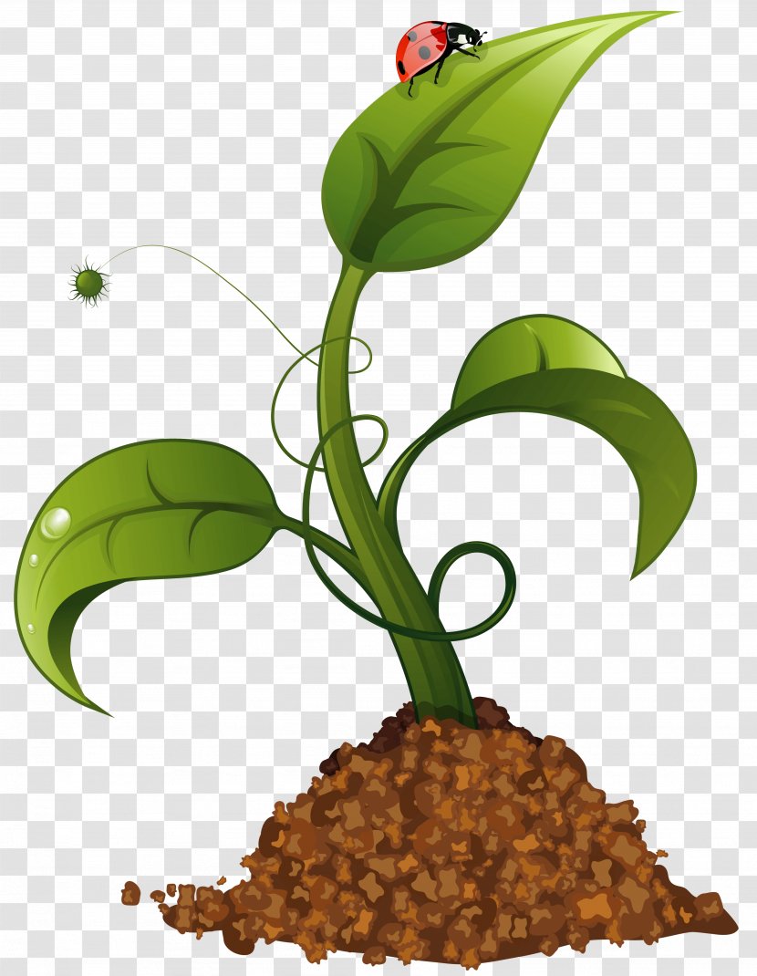 Crop Agriculture Clip Art - Harvest Transparent PNG